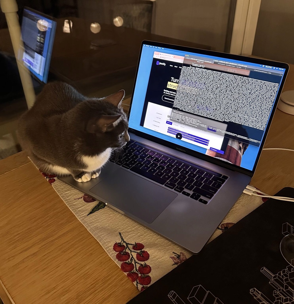 Office cat reviewing the dashboard